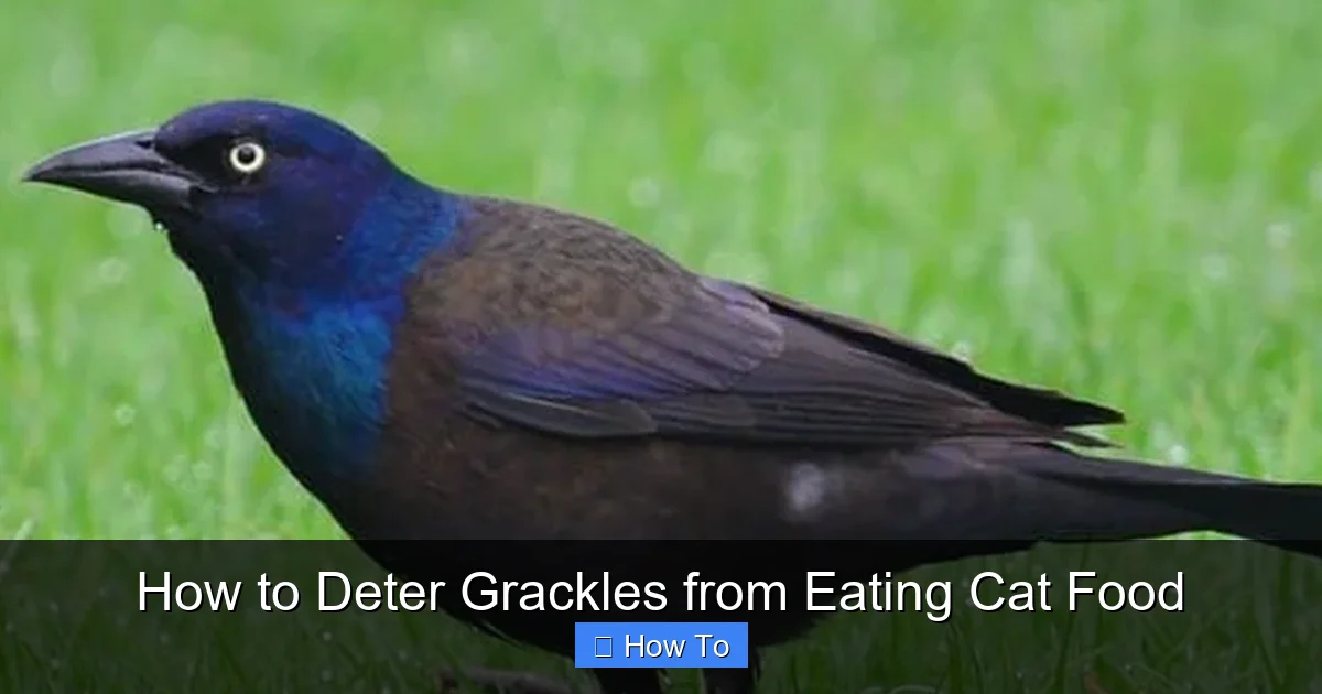 How to Deter Grackles from Eating Cat Food