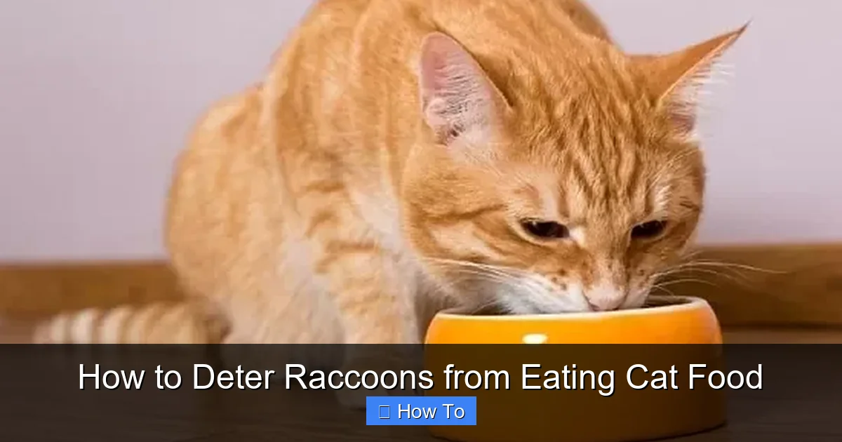 How to Deter Raccoons from Eating Cat Food