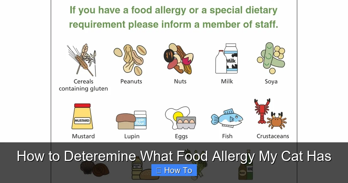 How to Deteremine What Food Allergy My Cat Has