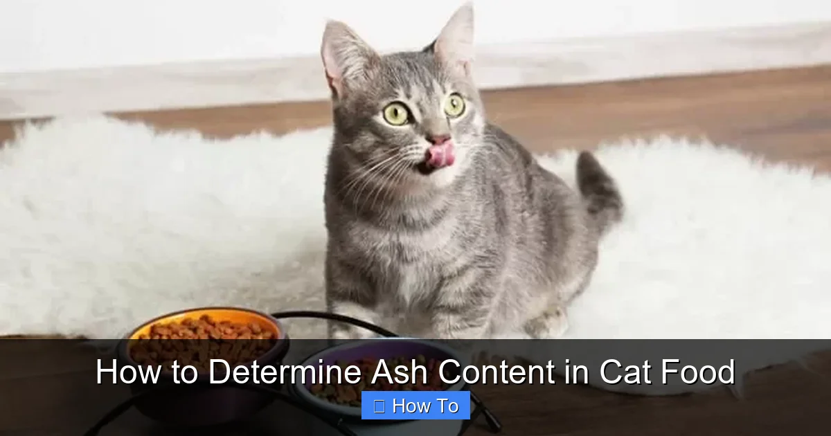 How to Determine Ash Content in Cat Food