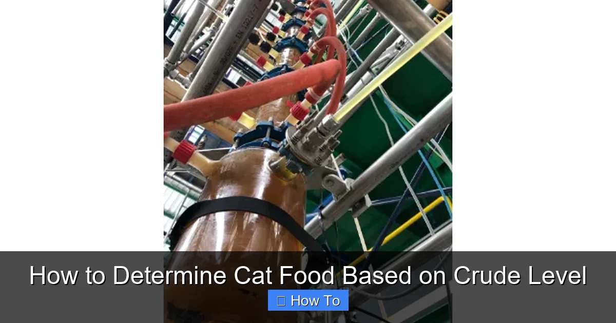 How to Determine Cat Food Based on Crude Level