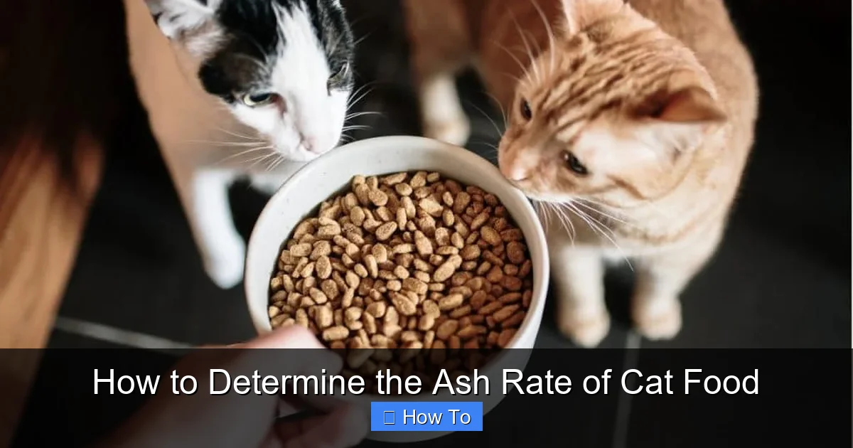 How to Determine the Ash Rate of Cat Food