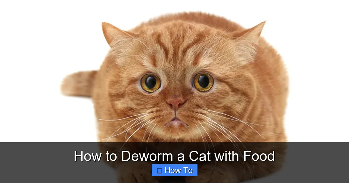 How to Deworm a Cat with Food