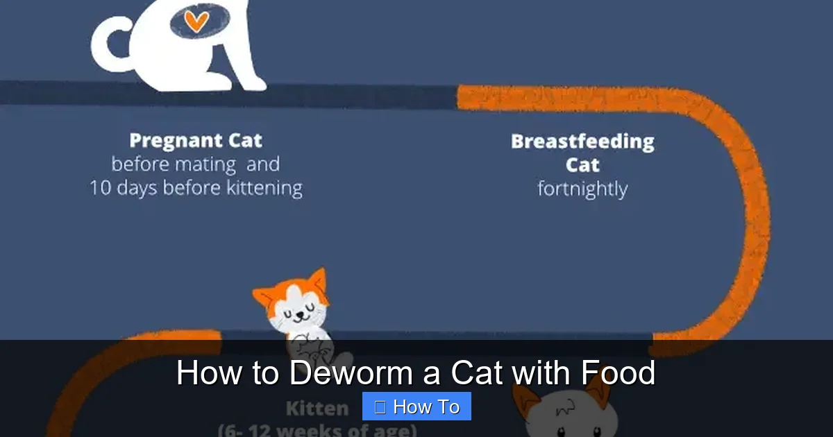 How to Deworm a Cat with Food