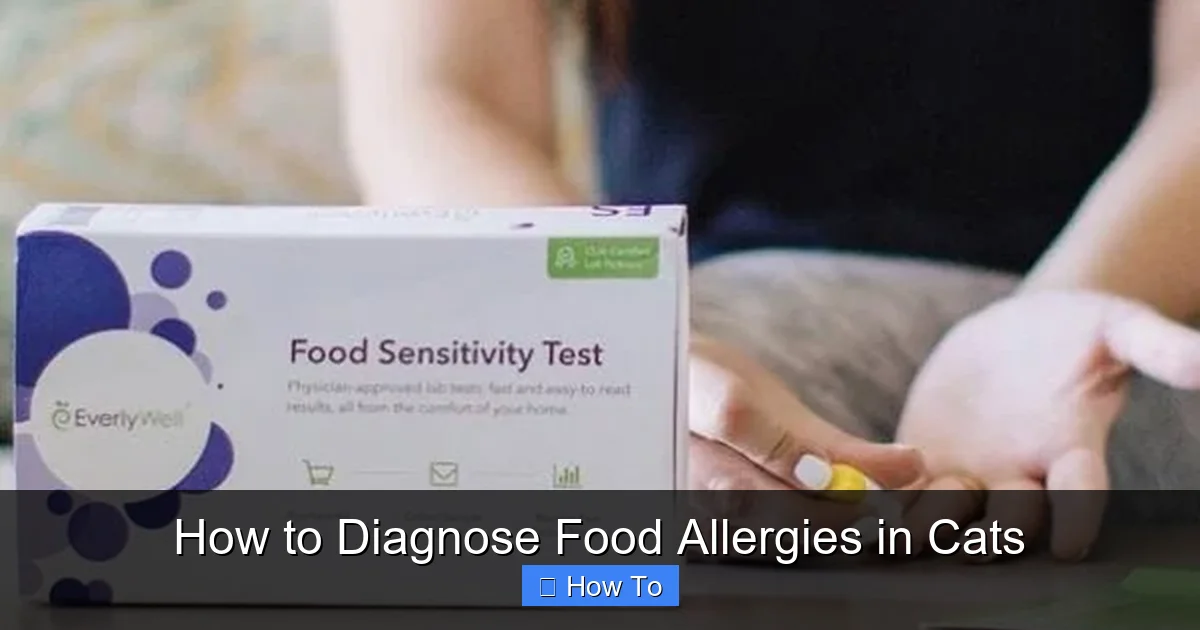 How to Diagnose Food Allergies in Cats