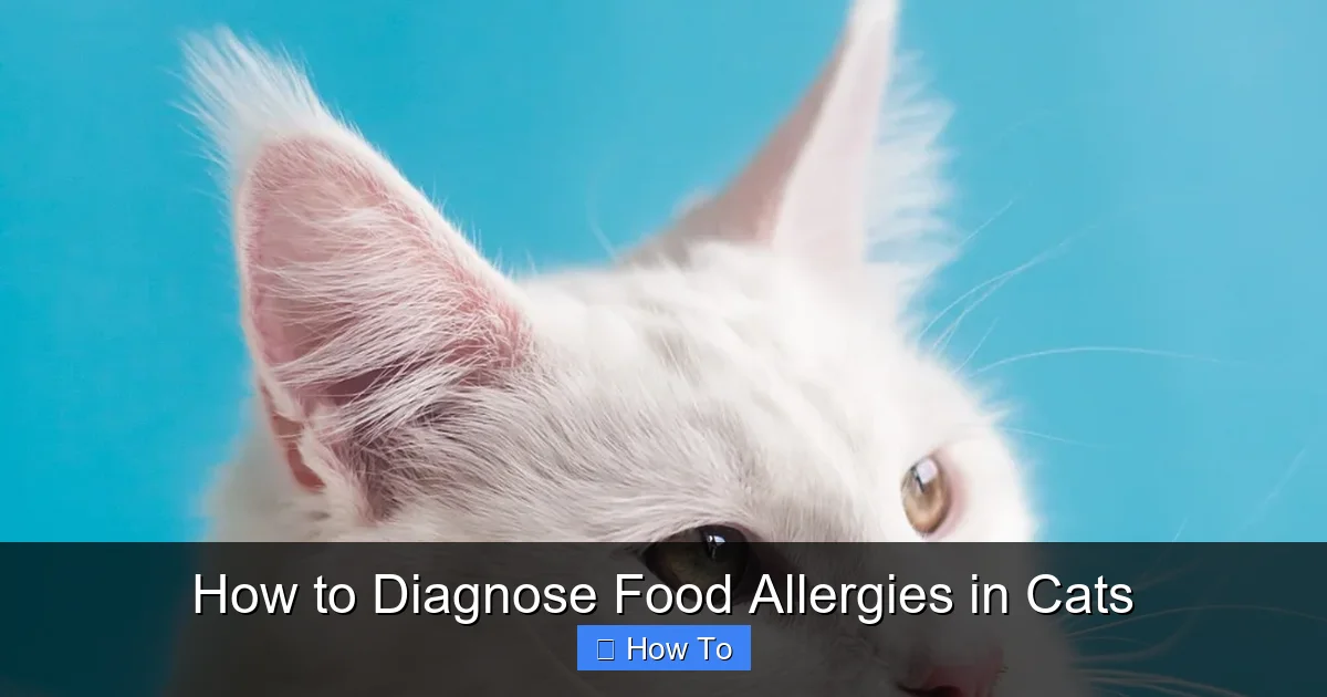 How to Diagnose Food Allergies in Cats