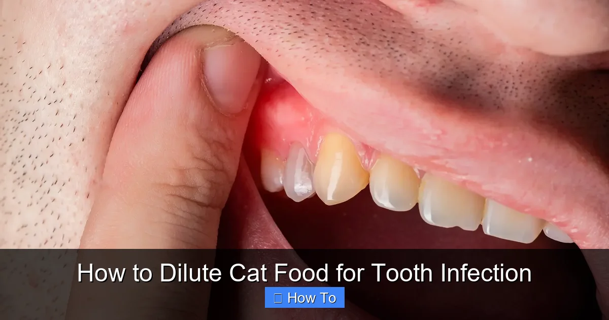 How to Dilute Cat Food for Tooth Infection