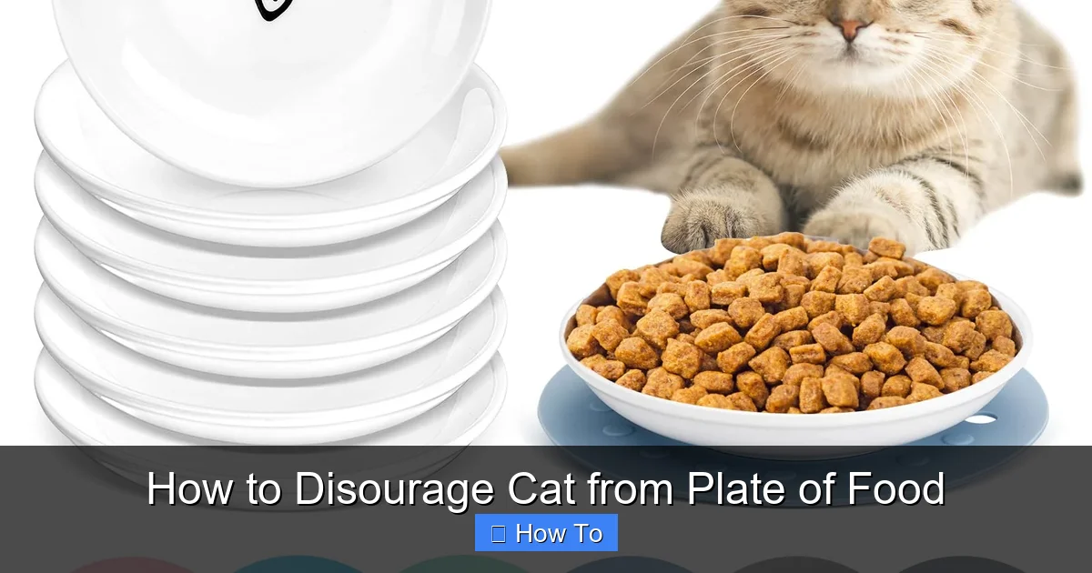 How to Disourage Cat from Plate of Food