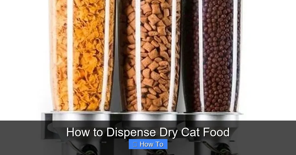 How to Dispense Dry Cat Food