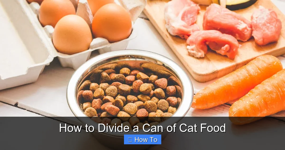 How to Divide a Can of Cat Food
