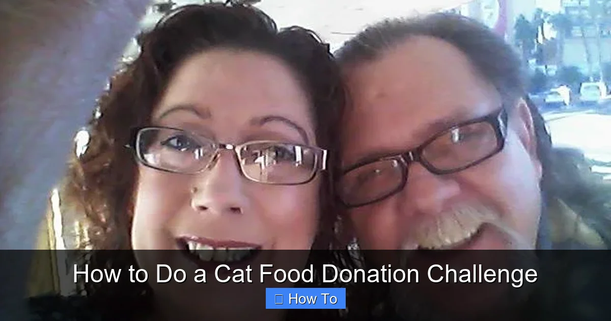 How to Do a Cat Food Donation Challenge