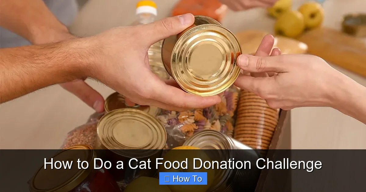 How to Do a Cat Food Donation Challenge