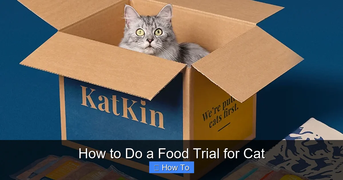 How to Do a Food Trial for Cat