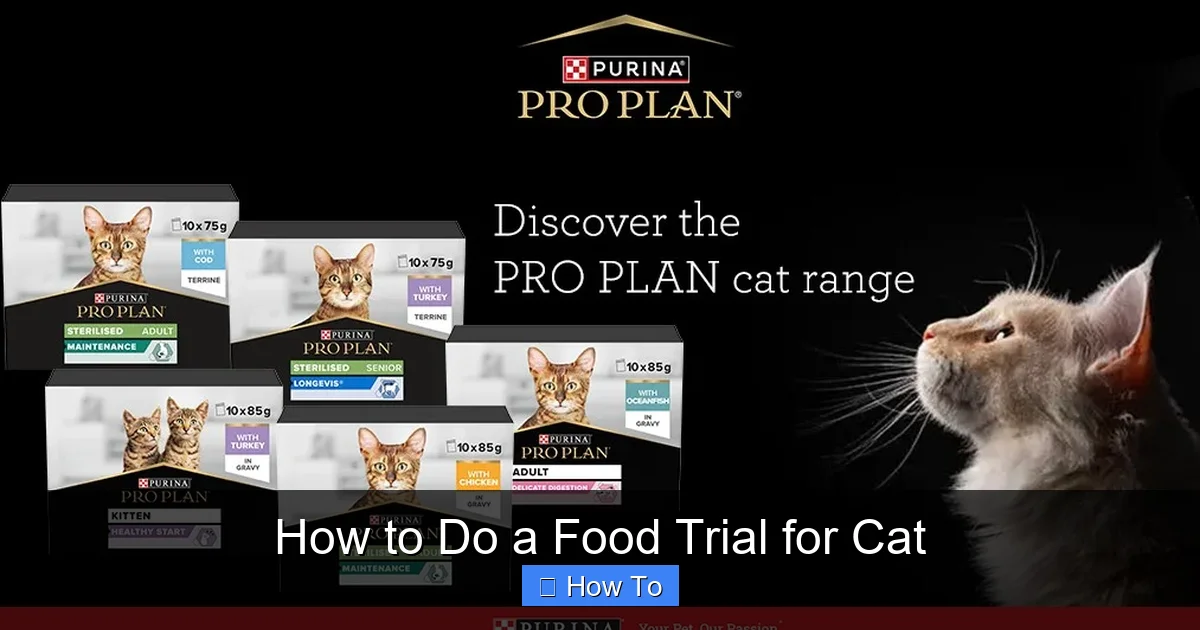 How to Do a Food Trial for Cat
