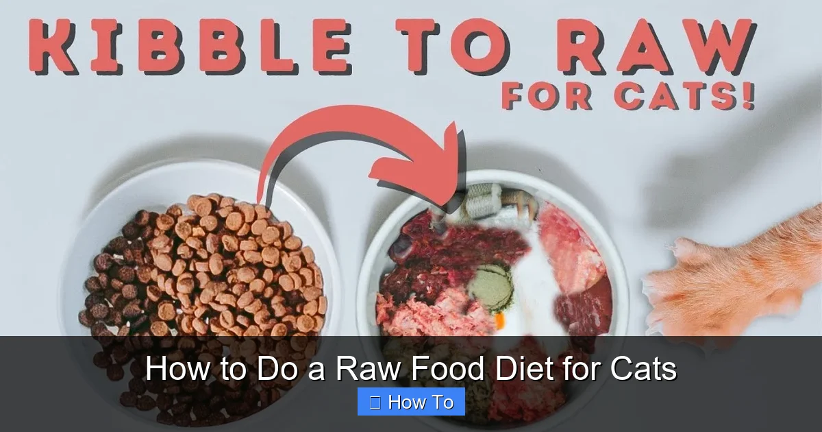 How to Do a Raw Food Diet for Cats