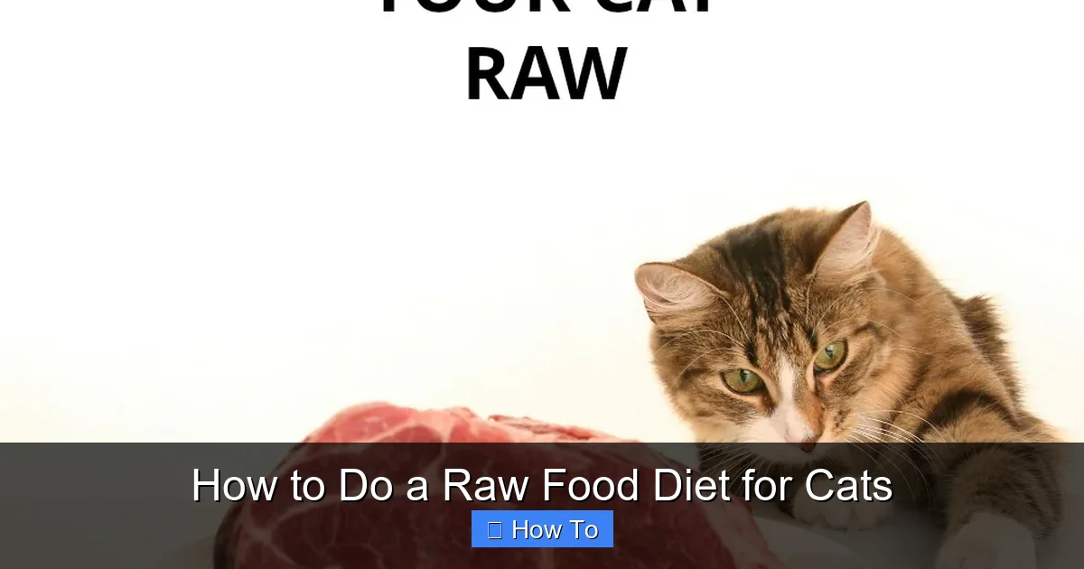 How to Do a Raw Food Diet for Cats