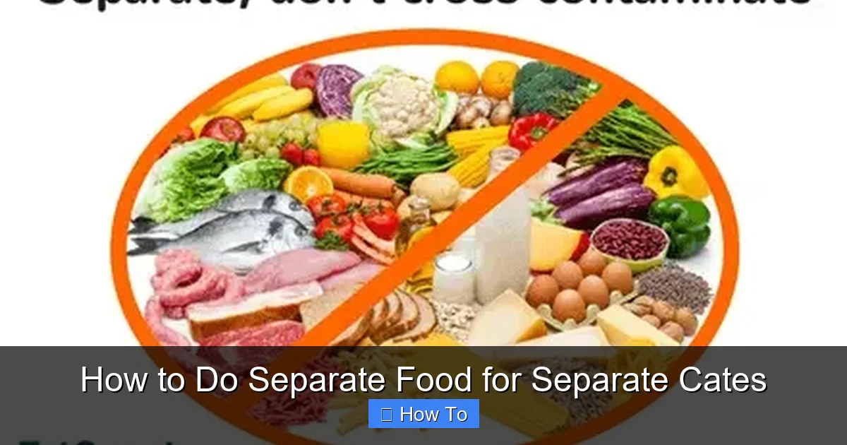 How to Do Separate Food for Separate Cates