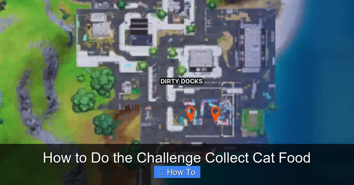 How to Do the Challenge Collect Cat Food