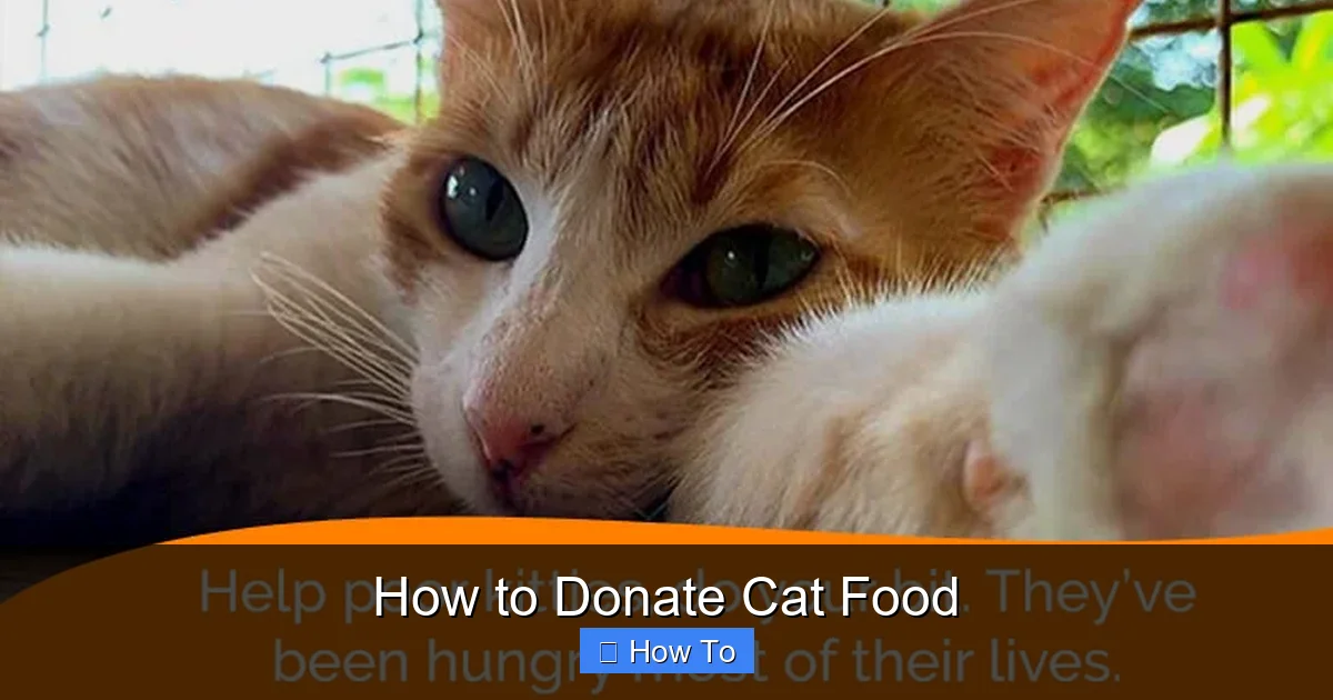 How to Donate Cat Food