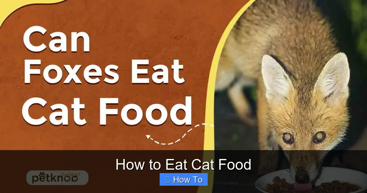 How to Eat Cat Food