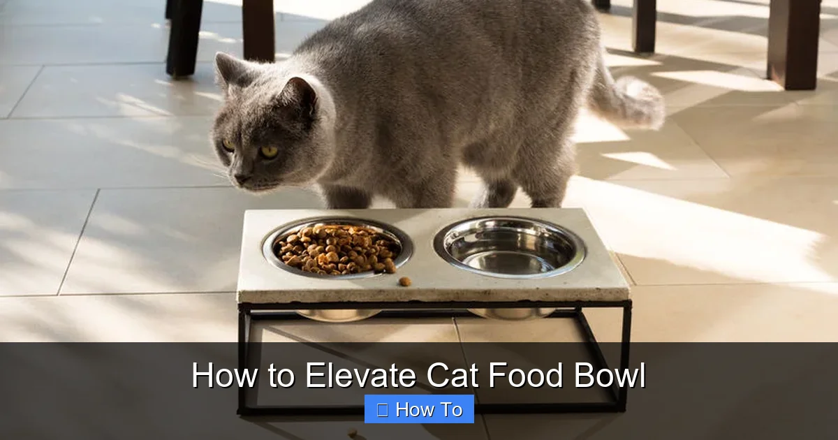 How to Elevate Cat Food Bowl