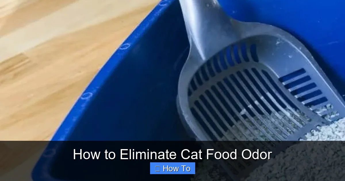 How to Eliminate Cat Food Odor