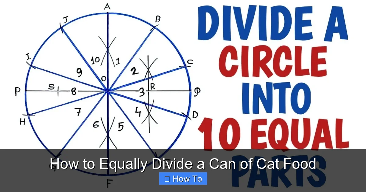How to Equally Divide a Can of Cat Food