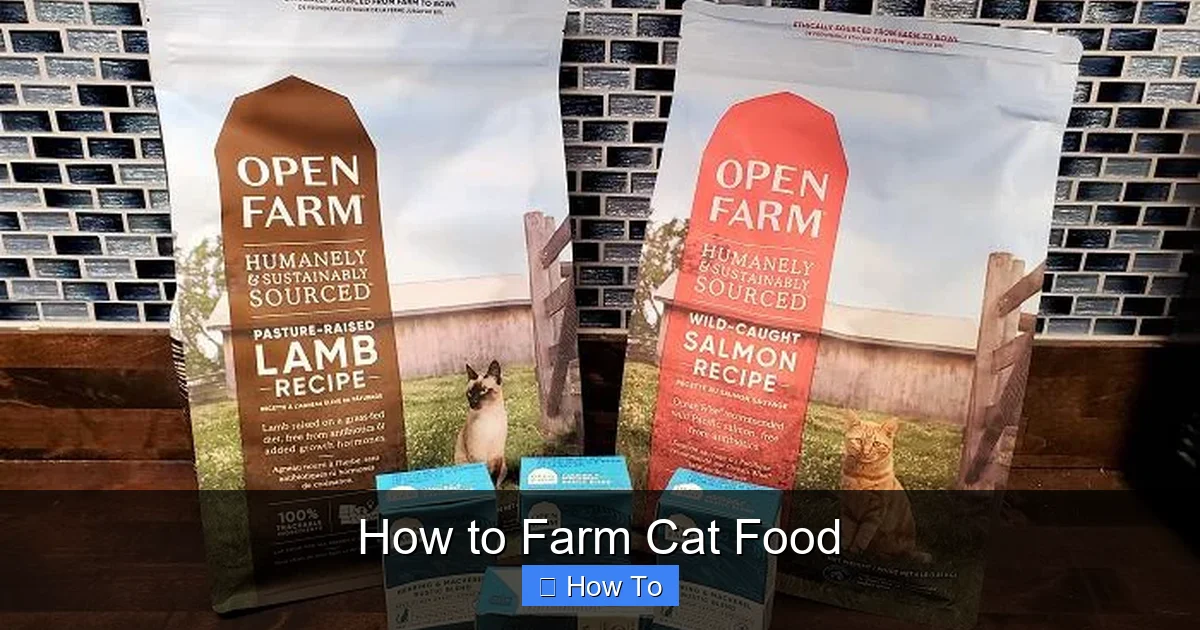 How to Farm Cat Food