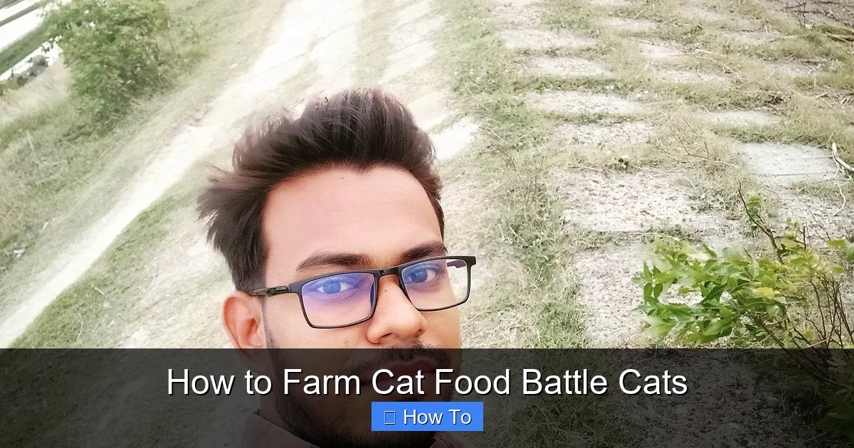 How to Farm Cat Food Battle Cats