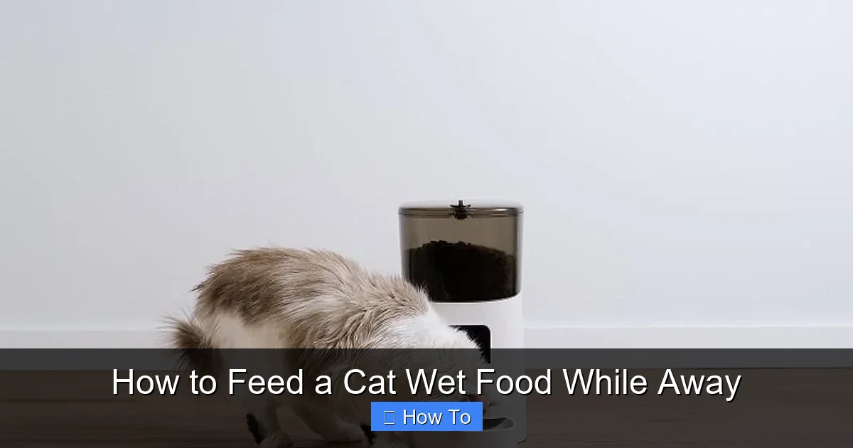 How to Feed a Cat Wet Food While Away