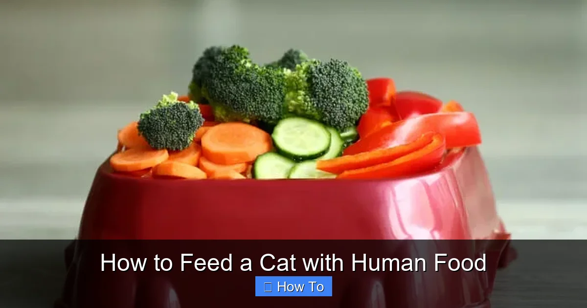 How to Feed a Cat with Human Food