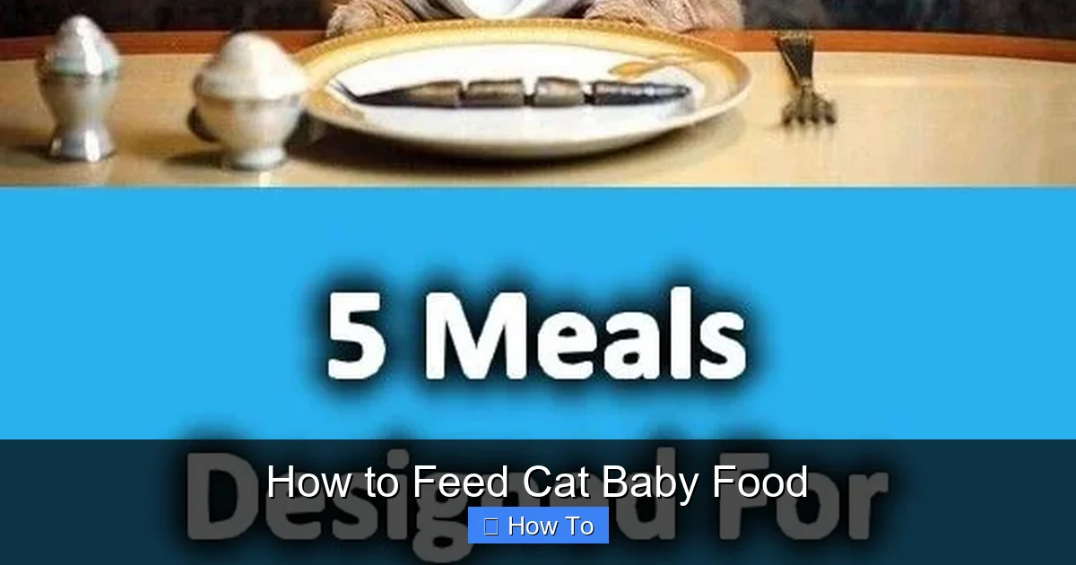 How to Feed Cat Baby Food