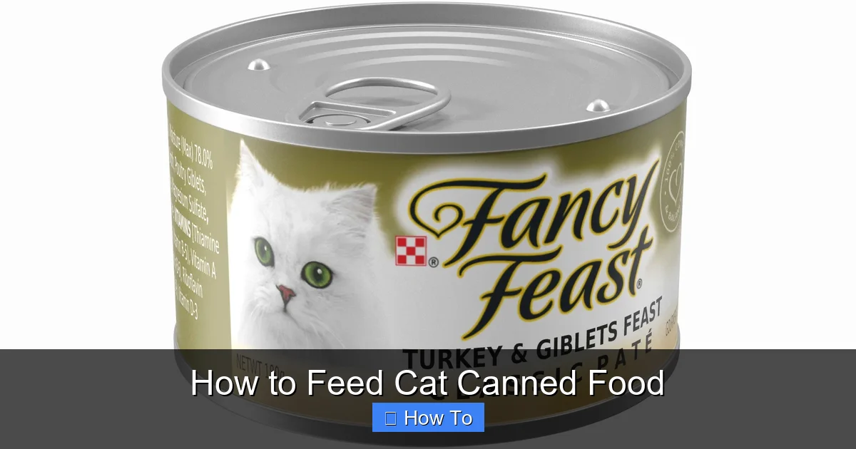 How to Feed Cat Canned Food