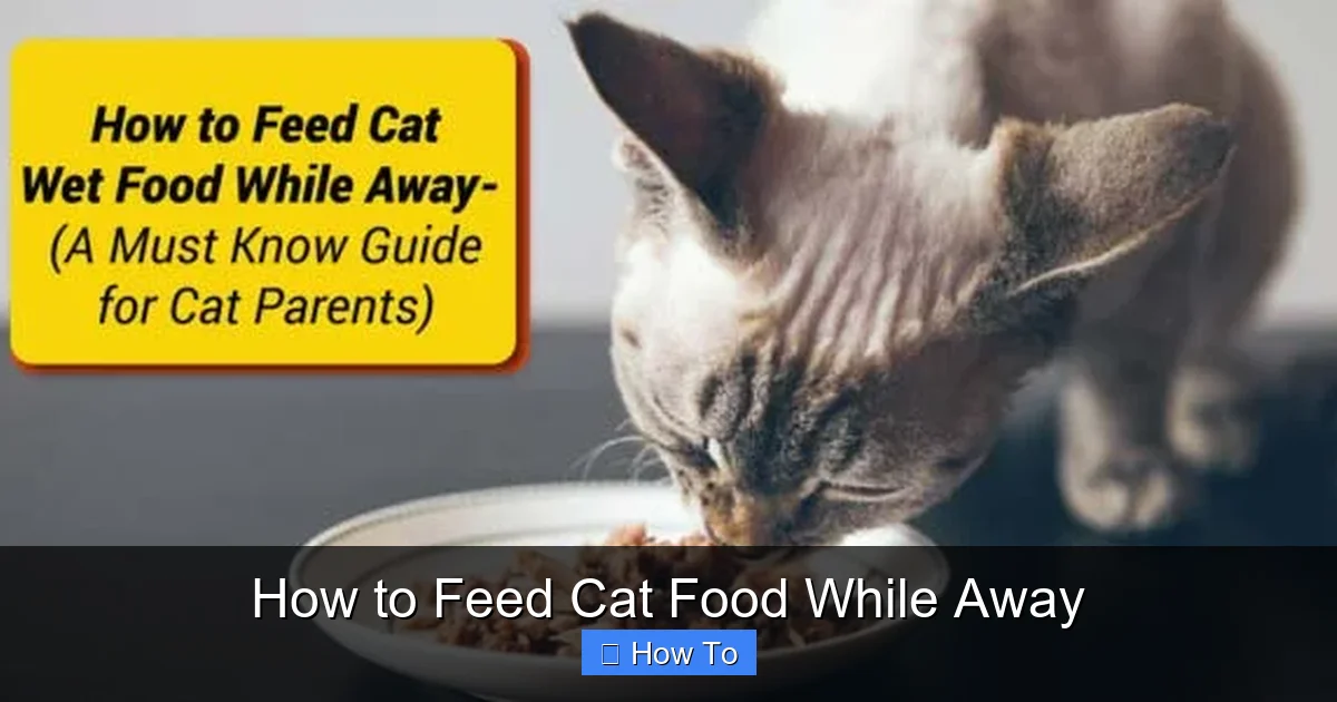 How to Feed Cat Food While Away