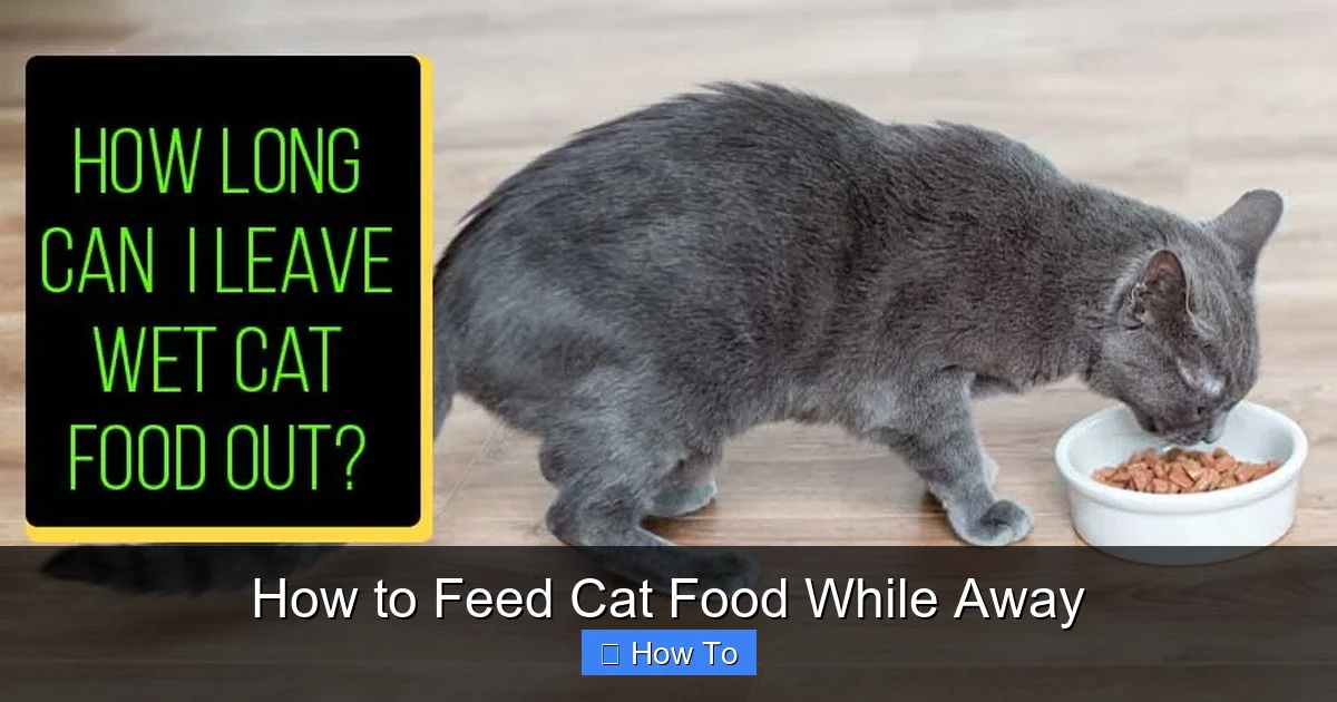 How to Feed Cat Food While Away
