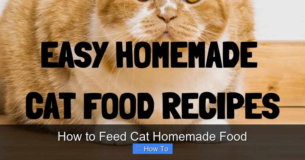 How to Feed Cat Homemade Food