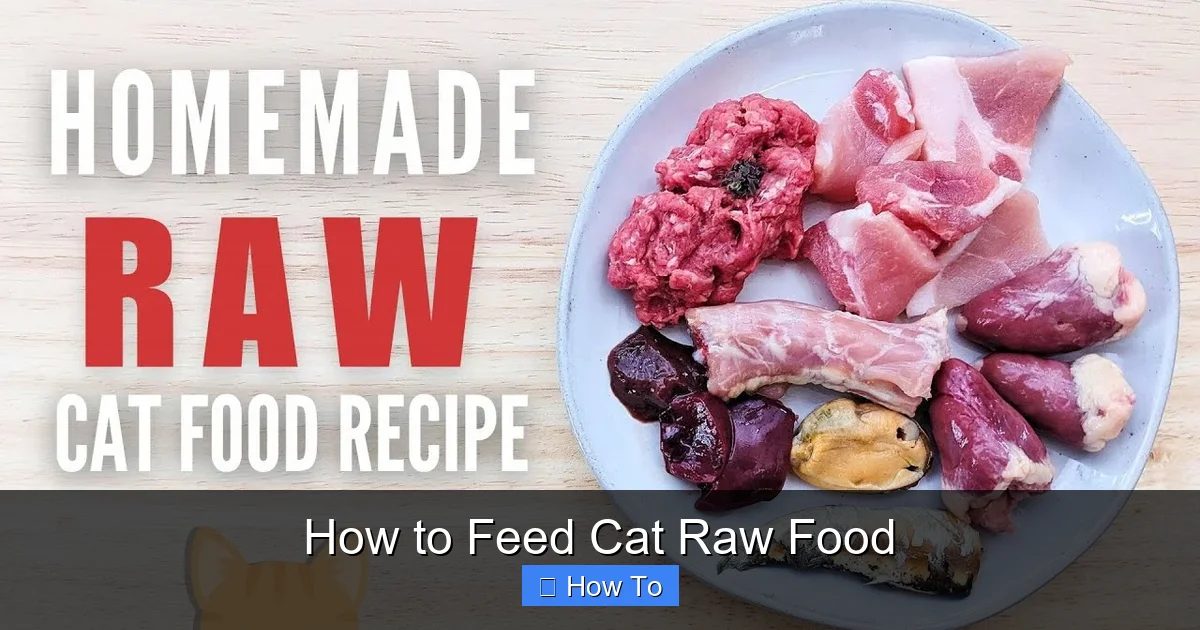 How to Feed Cat Raw Food