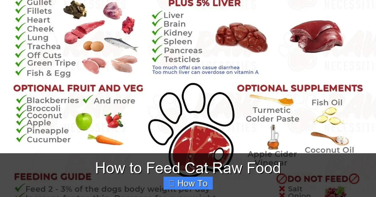How to Feed Cat Raw Food