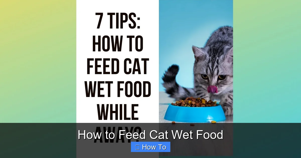 How to Feed Cat Wet Food