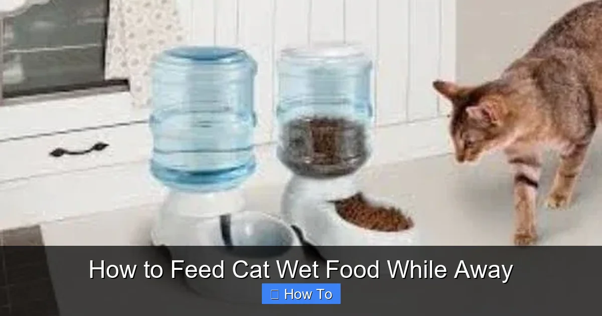 How to Feed Cat Wet Food While Away