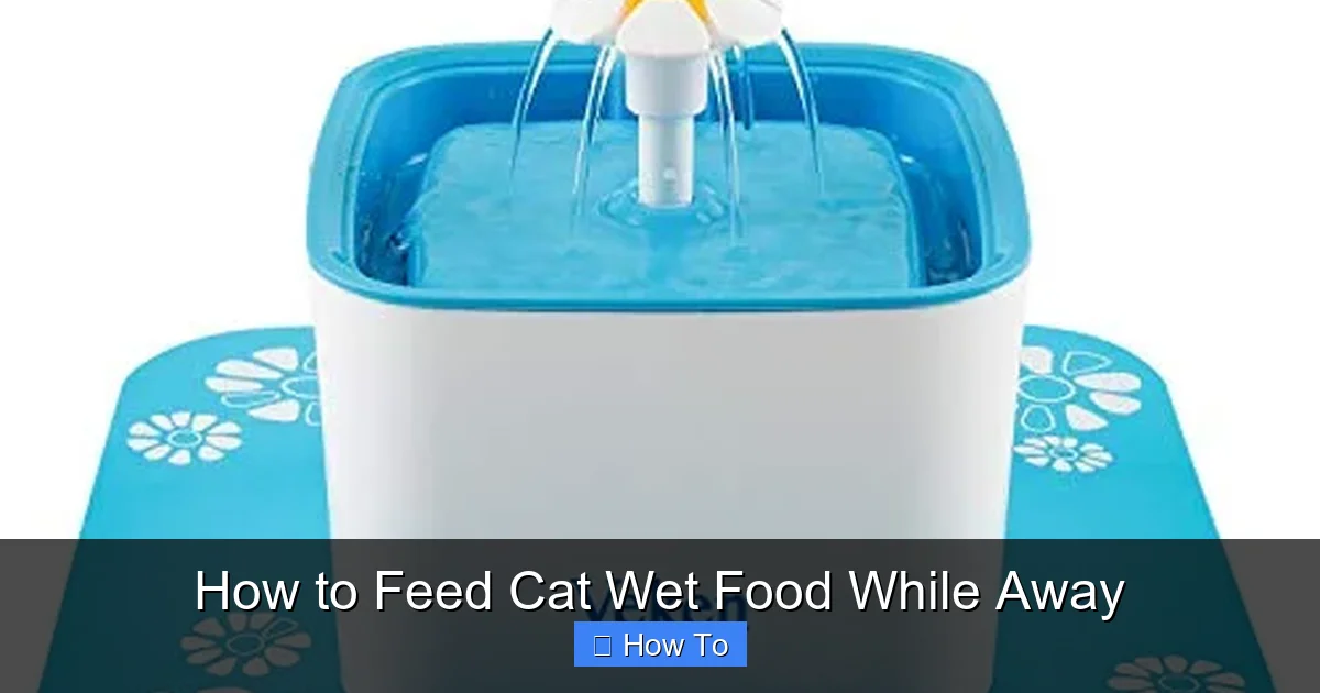 How to Feed Cat Wet Food While Away