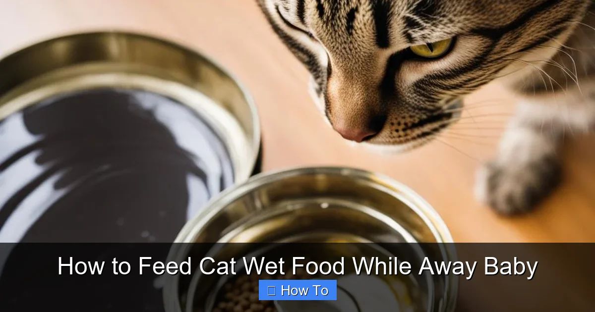 How to Feed Cat Wet Food While Away Baby