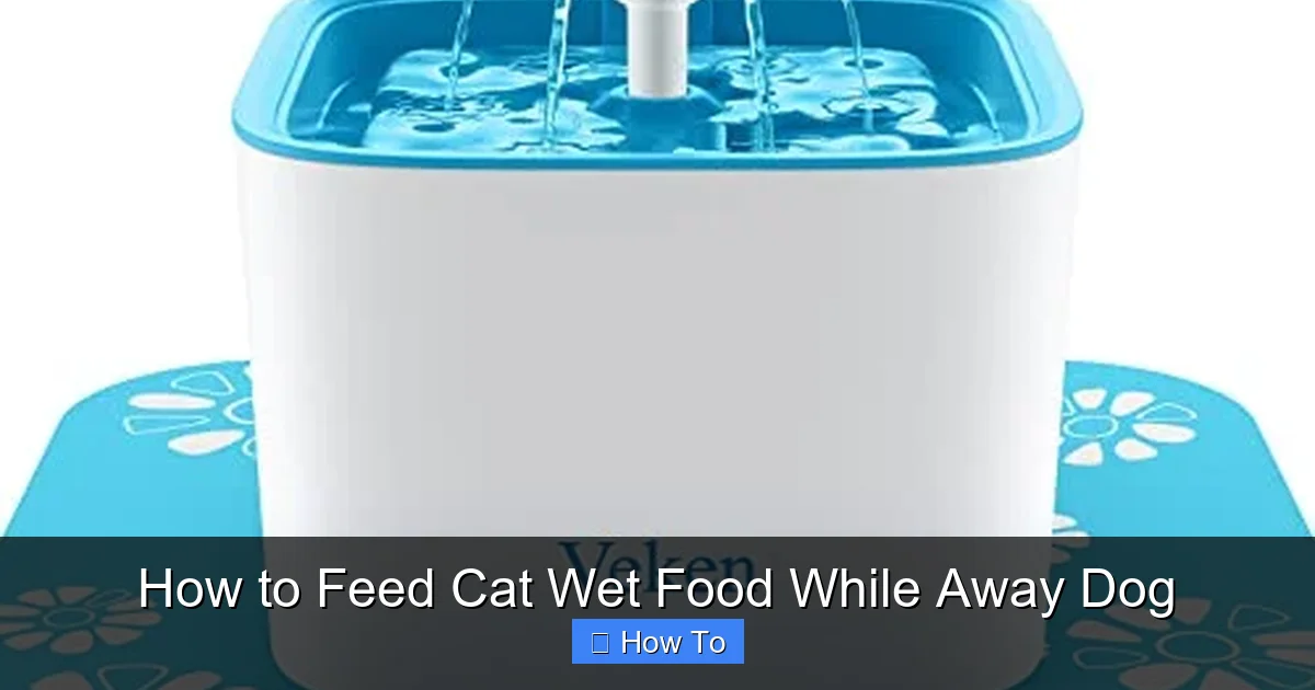 How to Feed Cat Wet Food While Away Dog