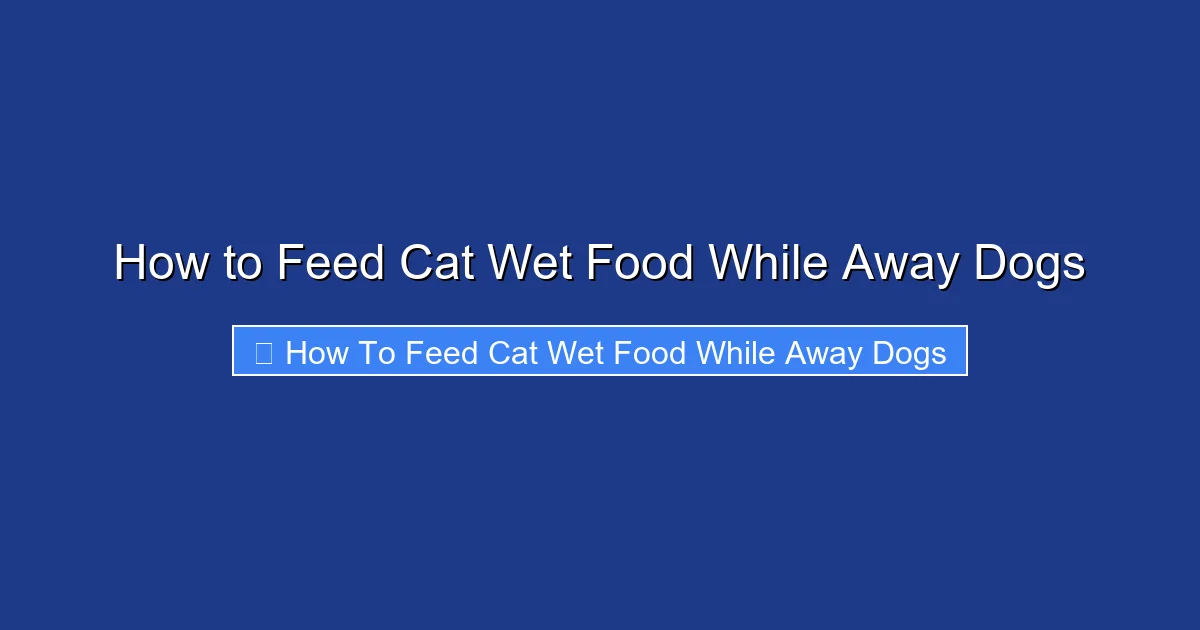 How to Feed Cat Wet Food While Away Dogs
