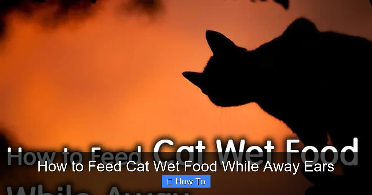 How to Feed Cat Wet Food While Away Ears
