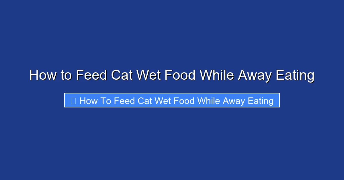 How to Feed Cat Wet Food While Away Eating