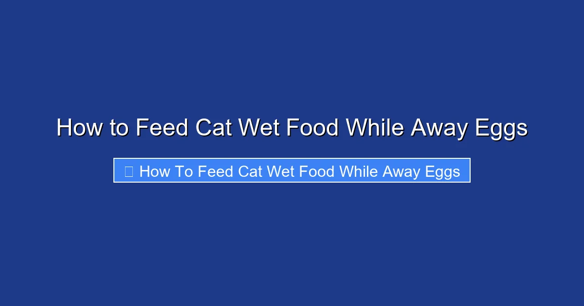 How to Feed Cat Wet Food While Away Eggs