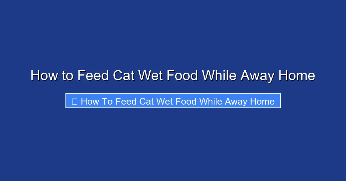 How to Feed Cat Wet Food While Away Home