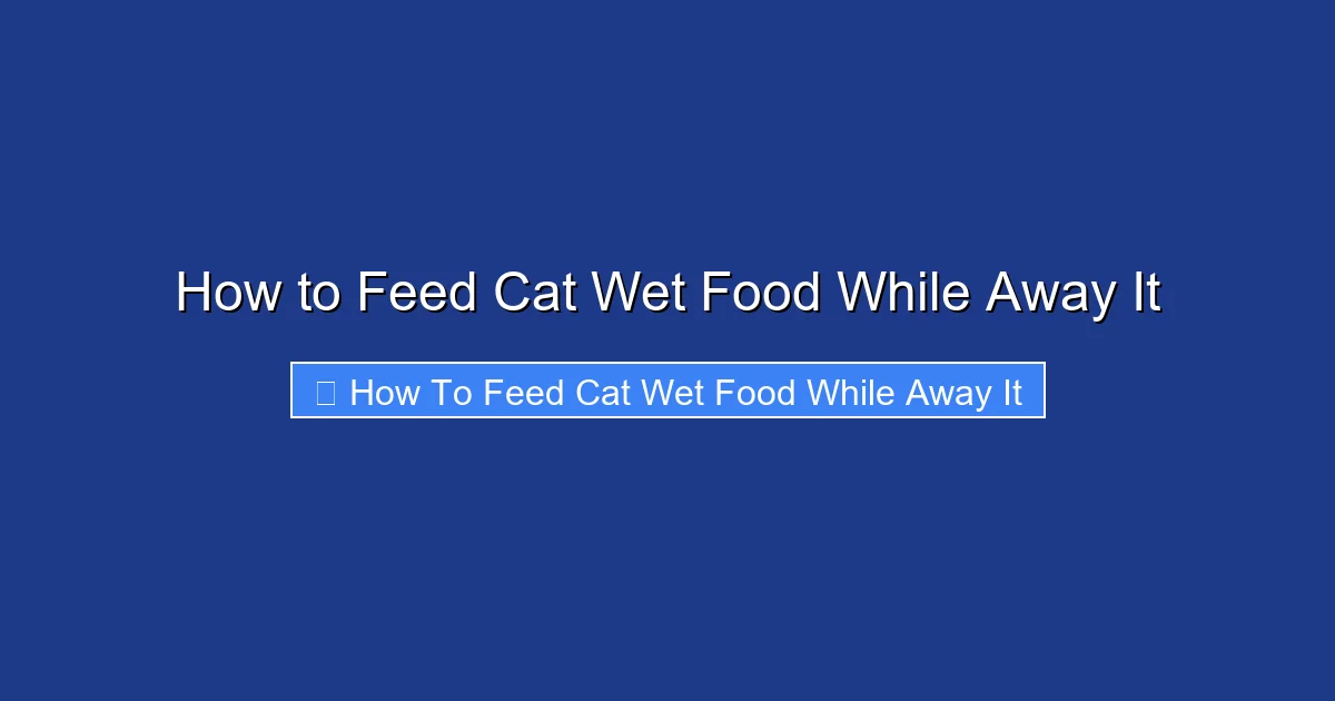 How to Feed Cat Wet Food While Away It