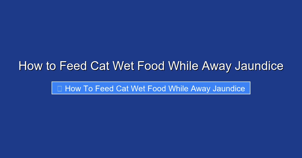 How to Feed Cat Wet Food While Away Jaundice